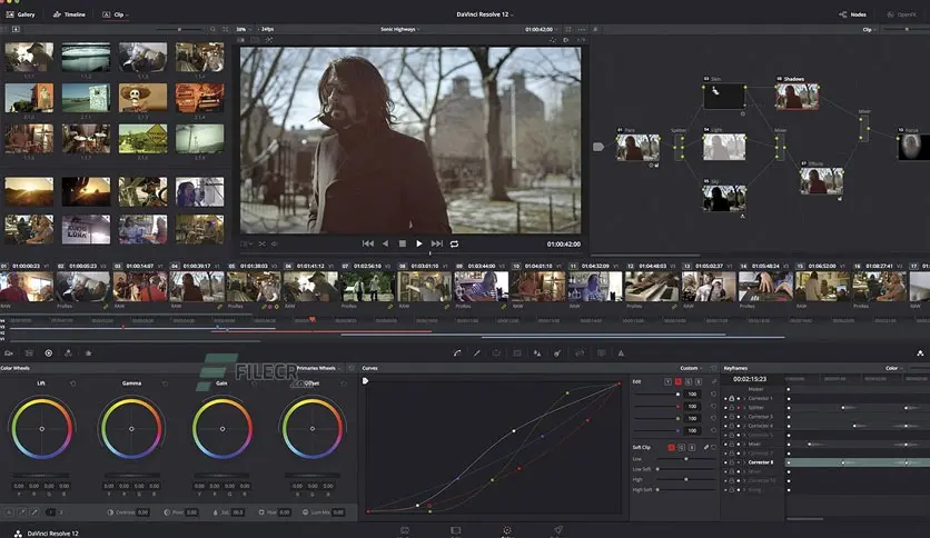 Blackmagic-Design-DaVinci-Resolve-Studio-macOS-Free-download-02
